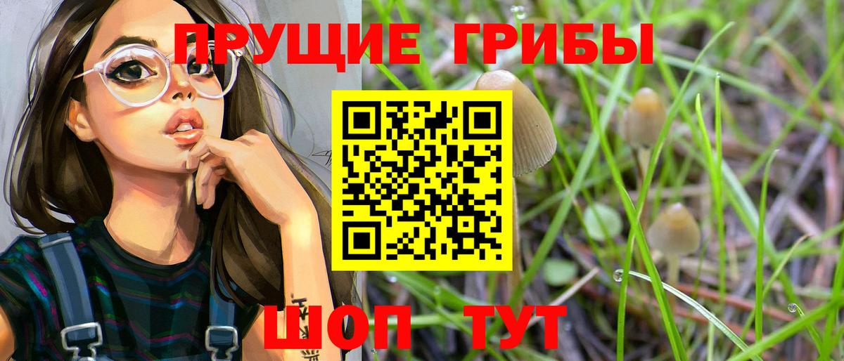 Псилоцибиновые грибы Magic Shrooms Сергиев Посад
